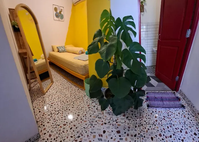 The Backyard Hostel